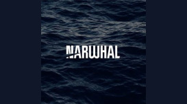 Narwhal Media Group