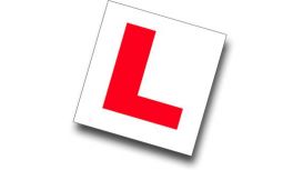 Alpha Driving School