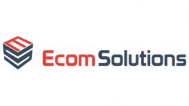 Website SEO Company in West Sussex: Ecomsolutions, UK