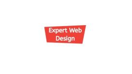 Expert Web Design