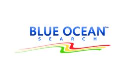 Blue Ocean Search
