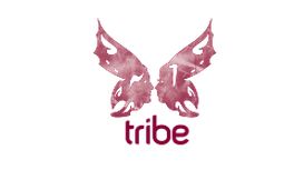Tribe Marketing